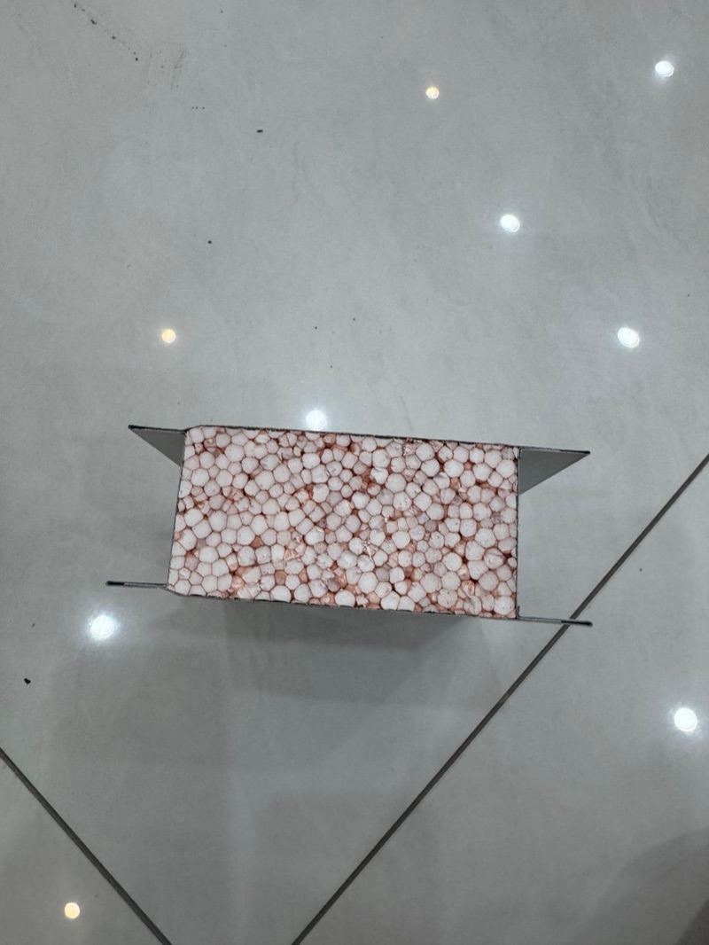 Modified EPS Cleanroom Panel